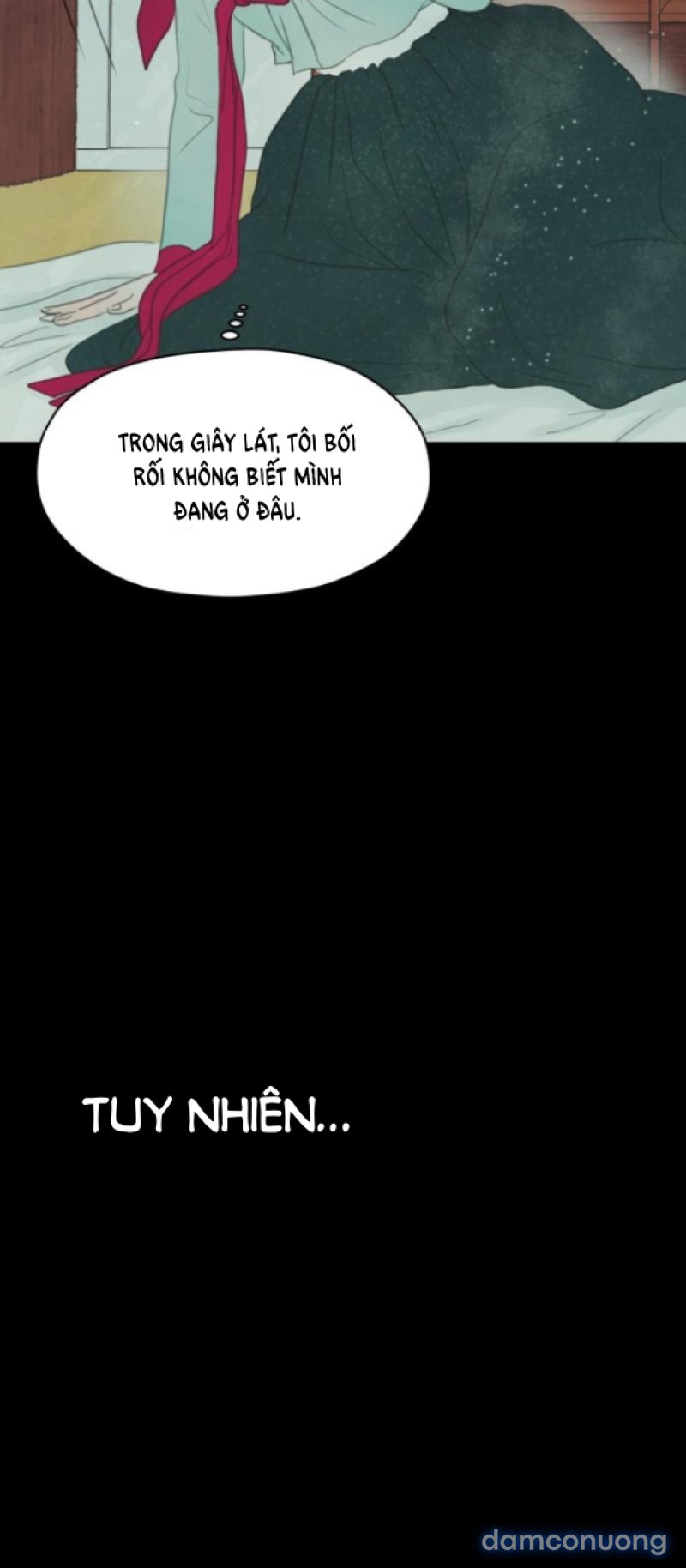 Chuyến Đi Đêm Cùng Nhà Vua 