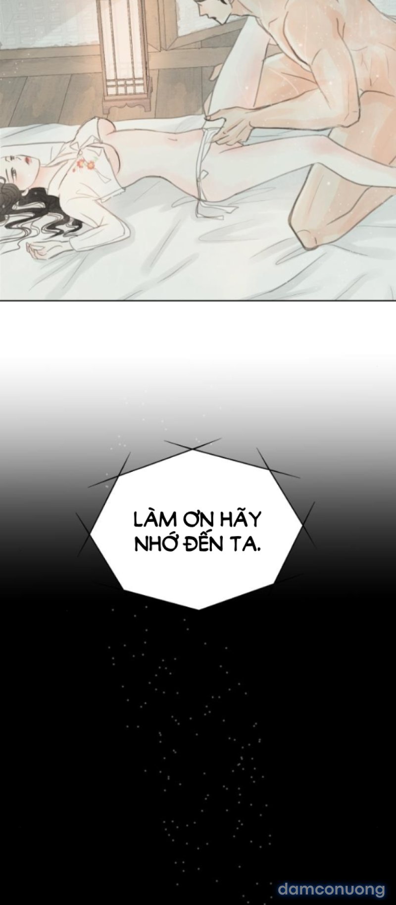 Chuyến Đi Đêm Cùng Nhà Vua 