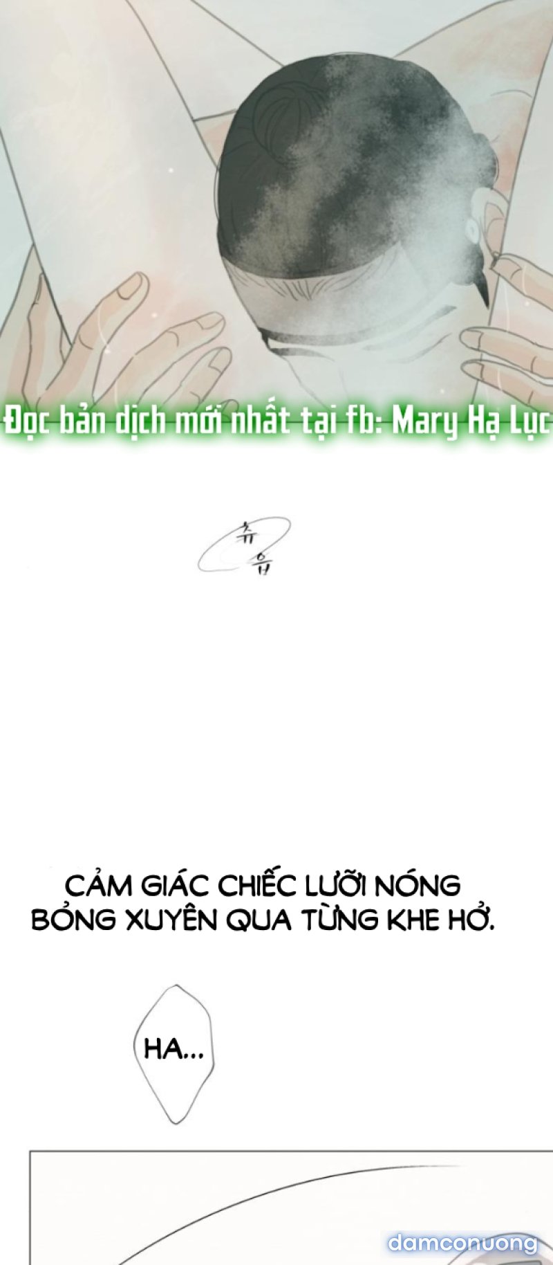 Chuyến Đi Đêm Cùng Nhà Vua 