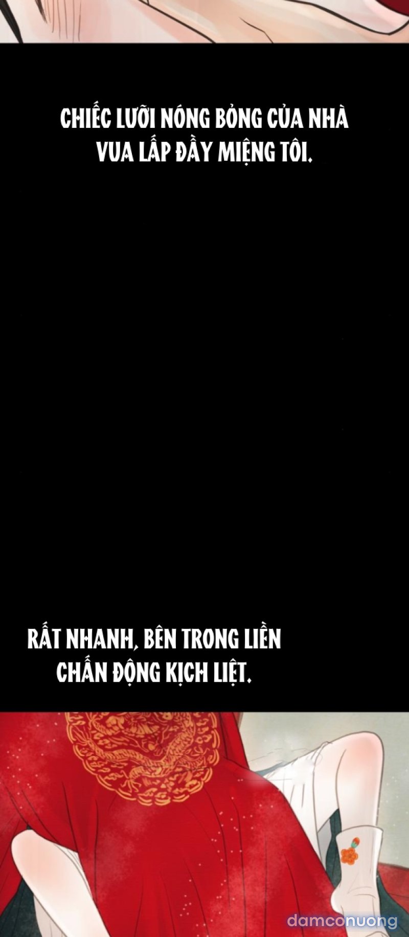 Chuyến Đi Đêm Cùng Nhà Vua 