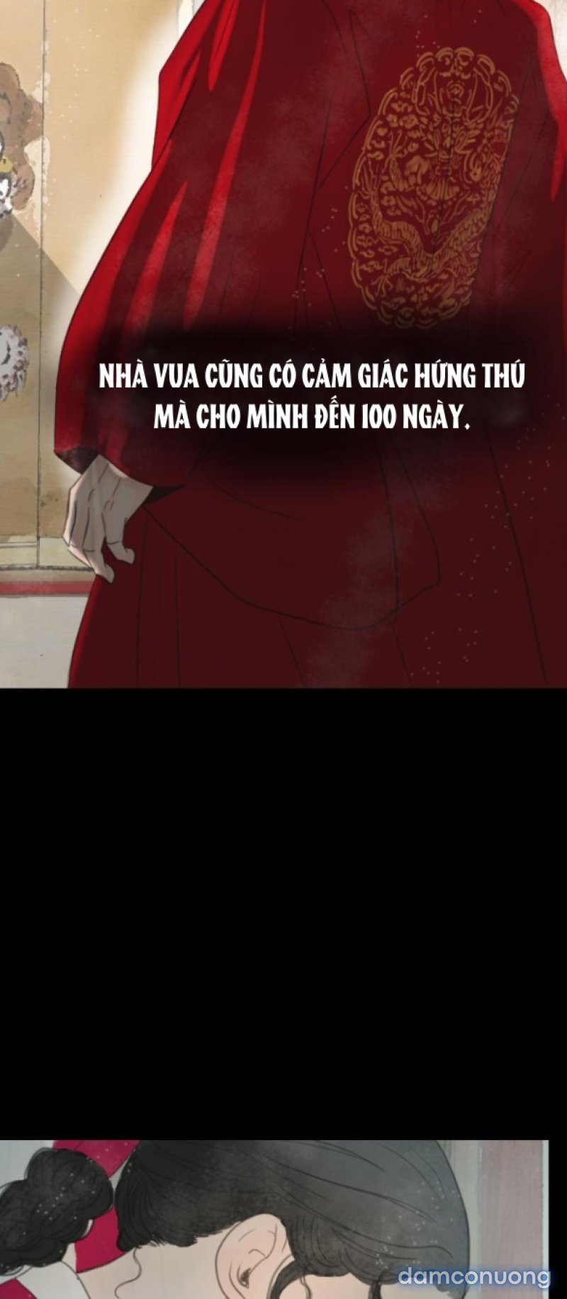 Chuyến Đi Đêm Cùng Nhà Vua 