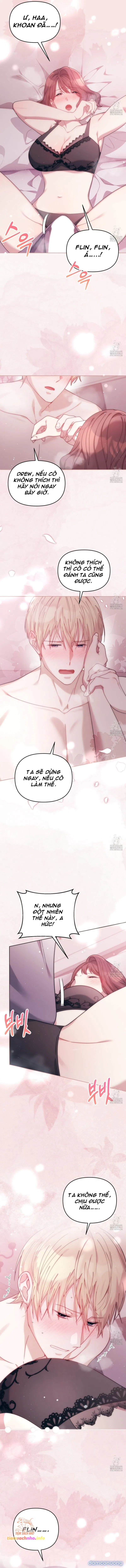 [ 18+ KHÔNG CHE ] Vụ Bê Bối Pháp Lý 
