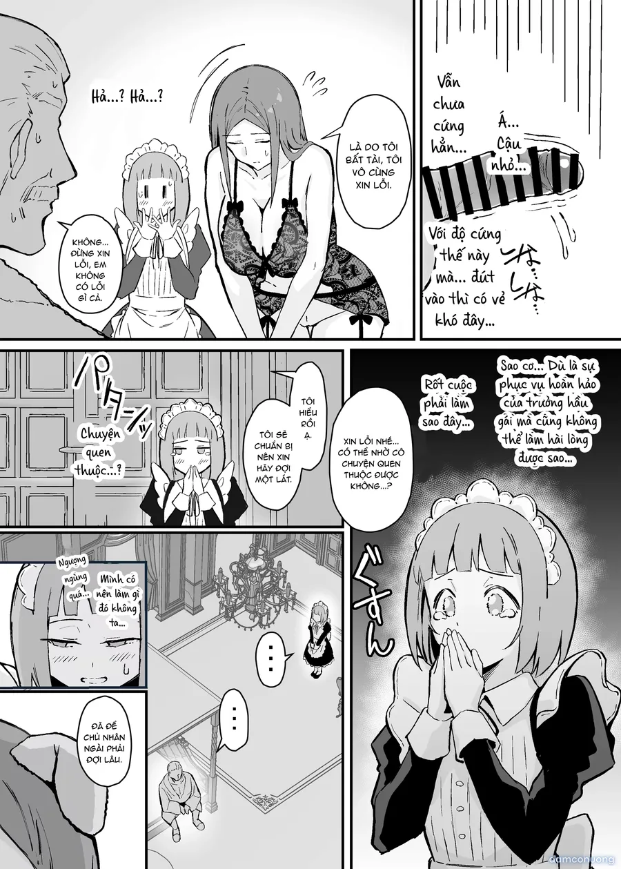 憧れの先輩メイド長の夜伽を見学 