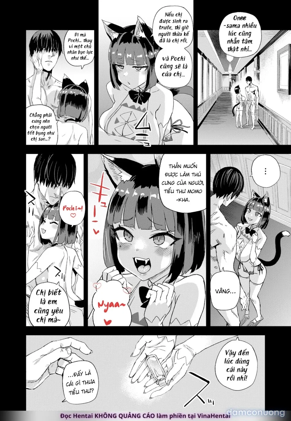 Tôi Là Thú Cưng Của Nàng Miêu Nữ 