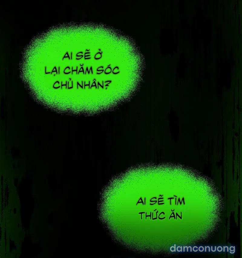Công chúa ngủ trong rừng 
