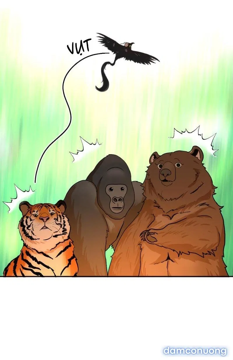 Công chúa ngủ trong rừng 