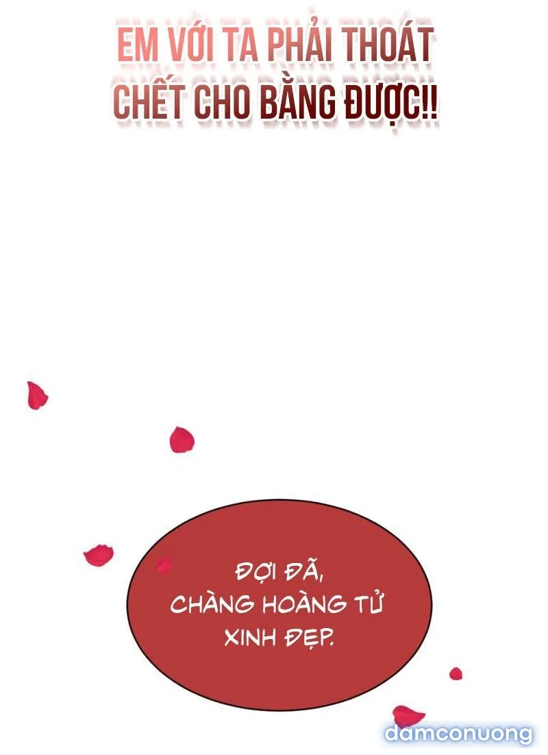 Công chúa ngủ trong rừng 