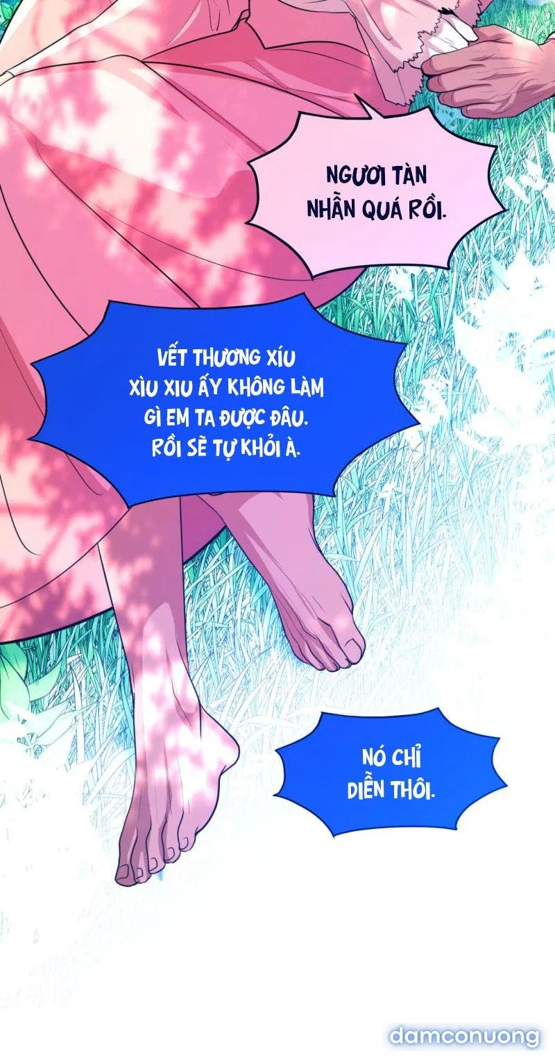 Công chúa ngủ trong rừng 