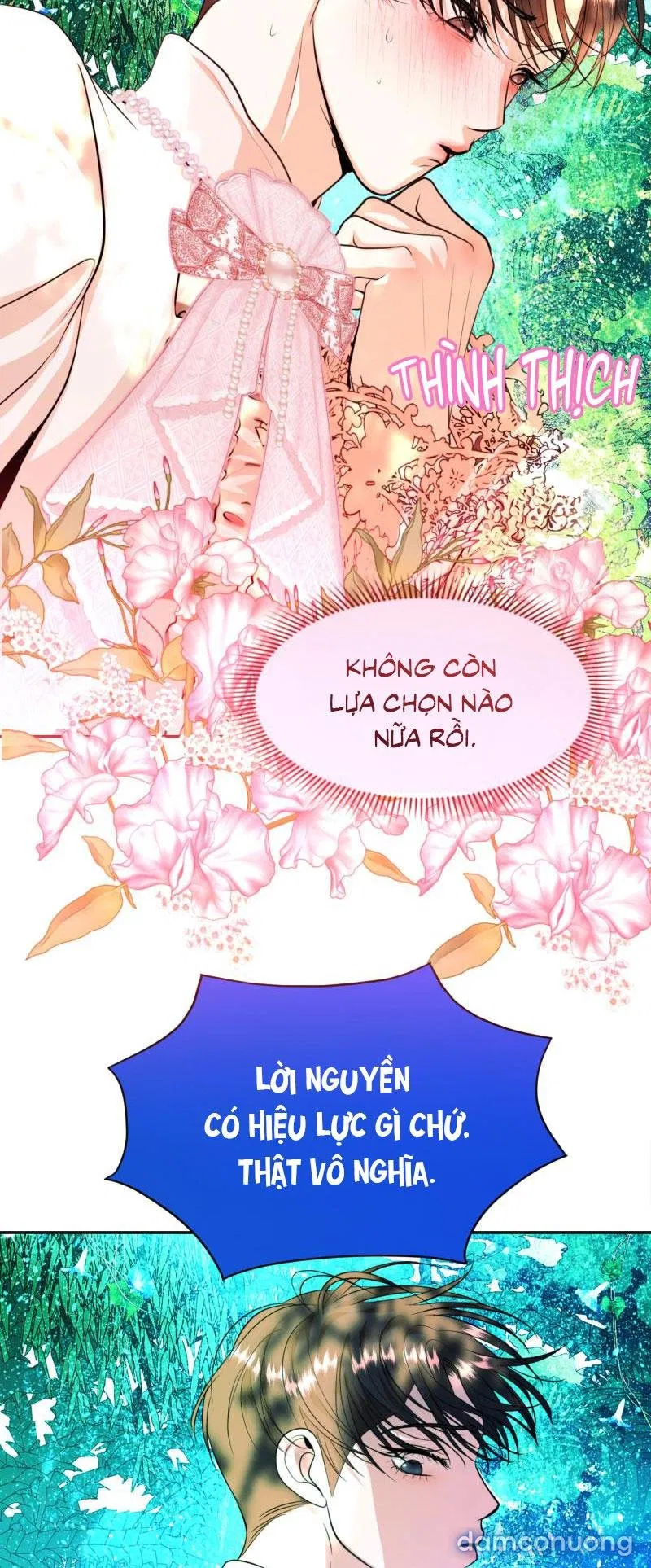Công chúa ngủ trong rừng 