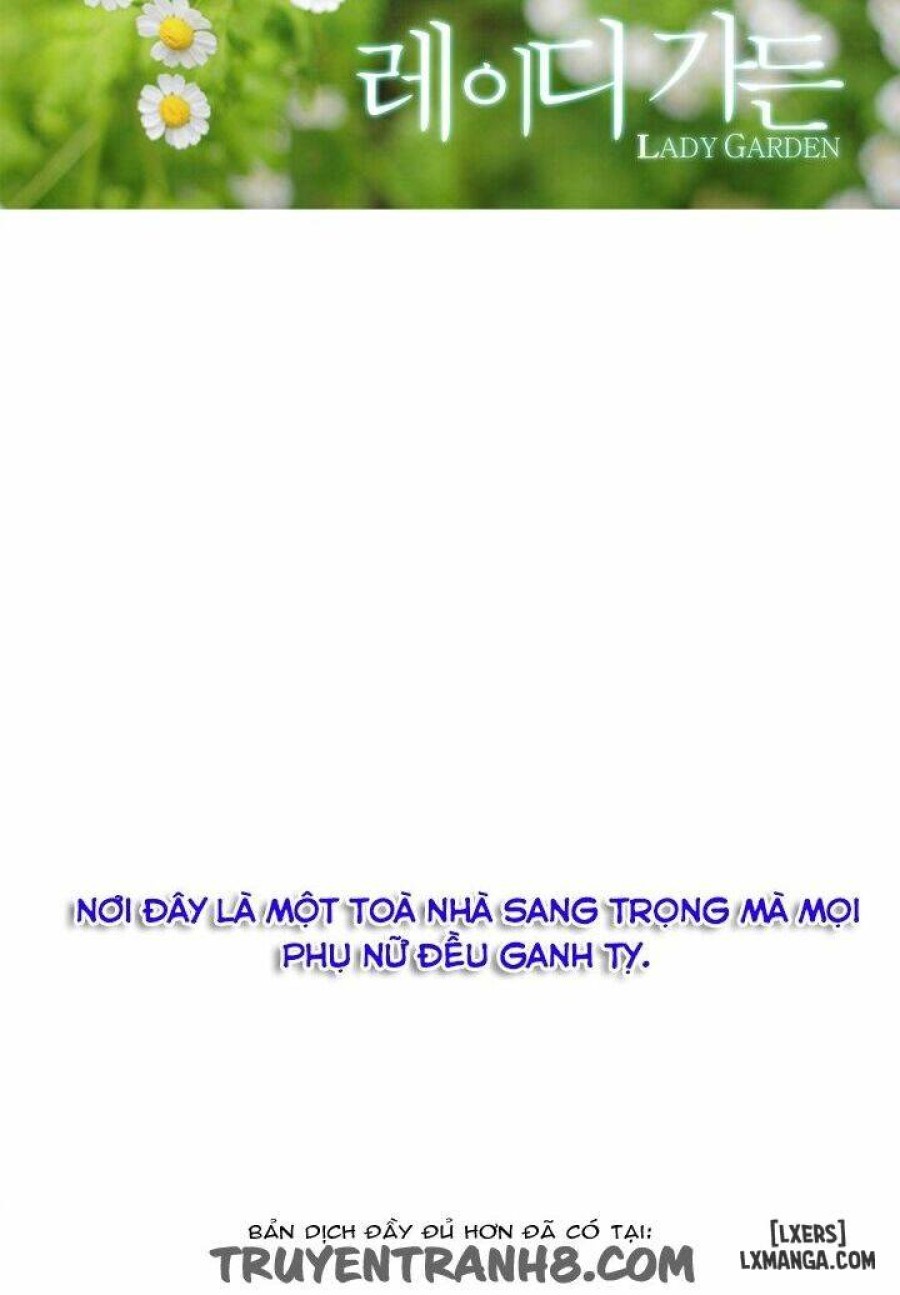 Khu vườn hoang lạc 