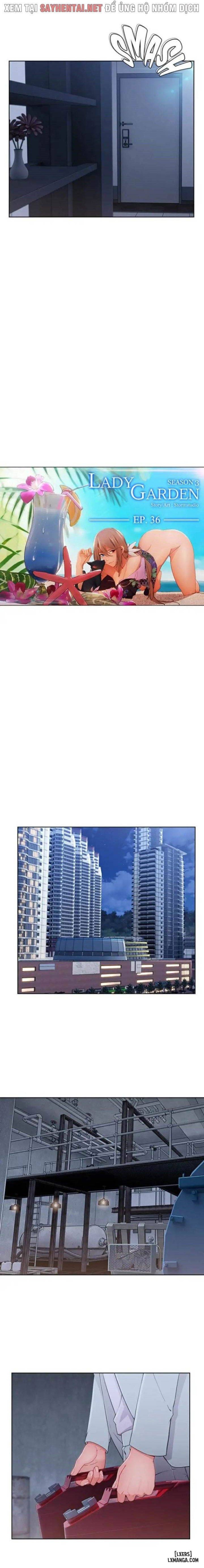 Khu vườn hoang lạc 