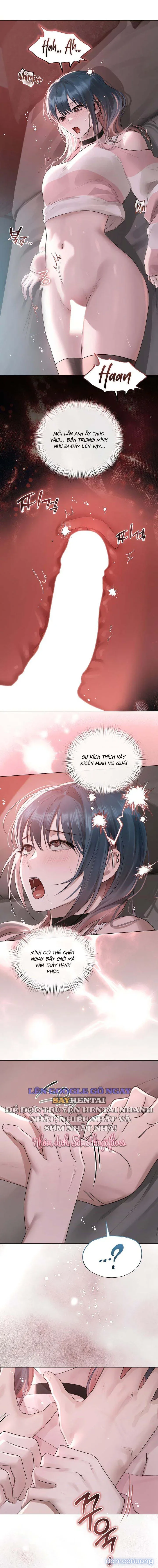 Tình Và Tiền 