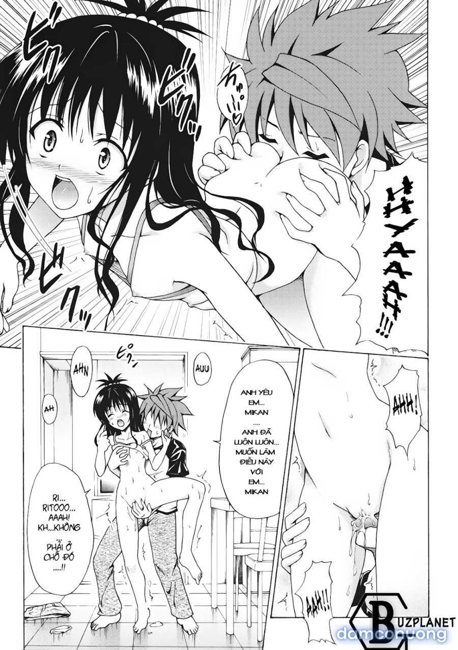 Mikan the Forbidden Fruit 