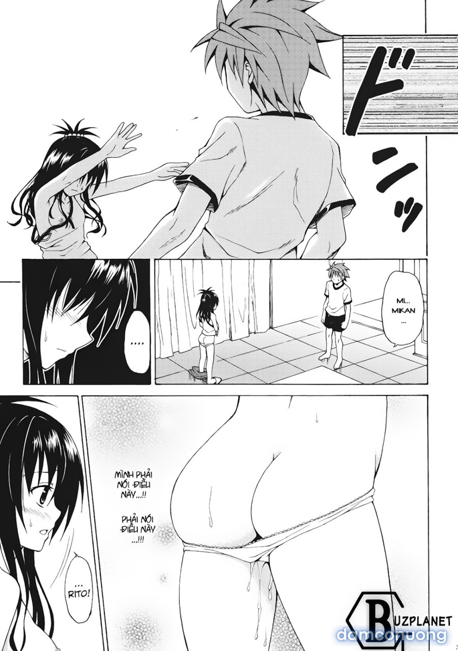 Mikan the Forbidden Fruit 