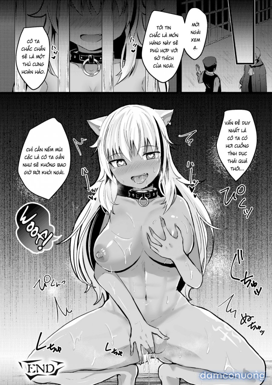 Ero Trap Dungeon 