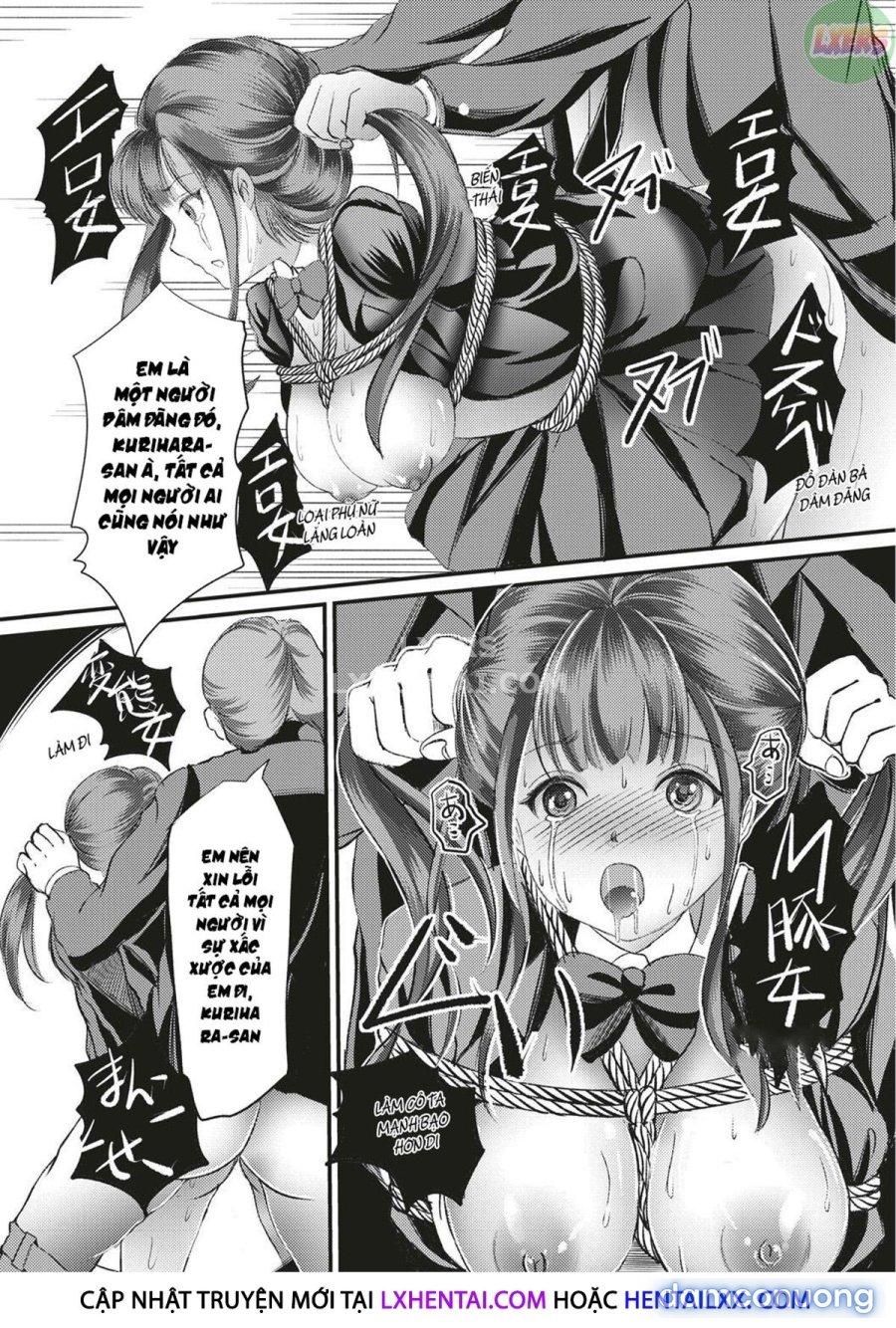 Kinbaku Seidorei Choukyou Gakuen 