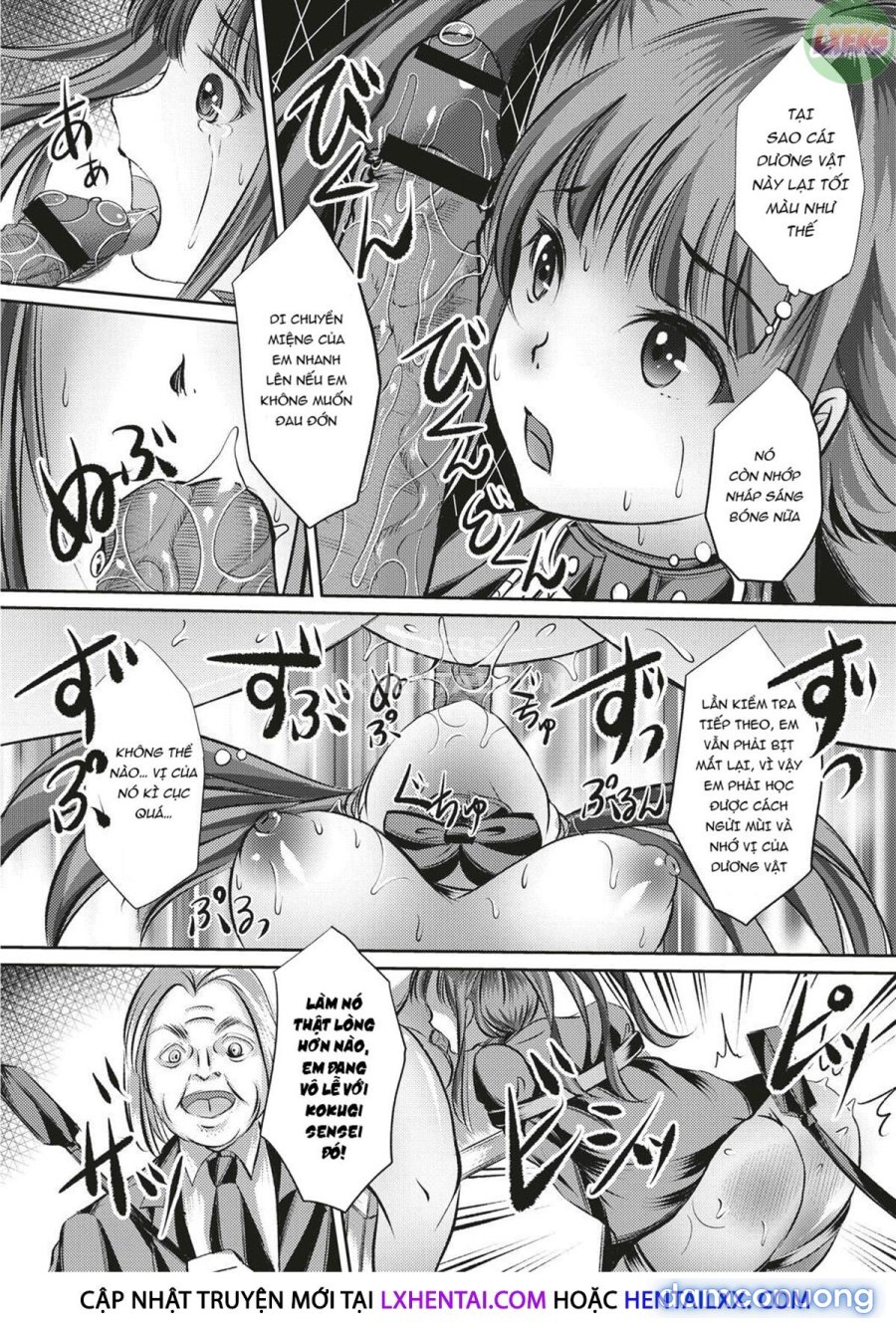 Kinbaku Seidorei Choukyou Gakuen 