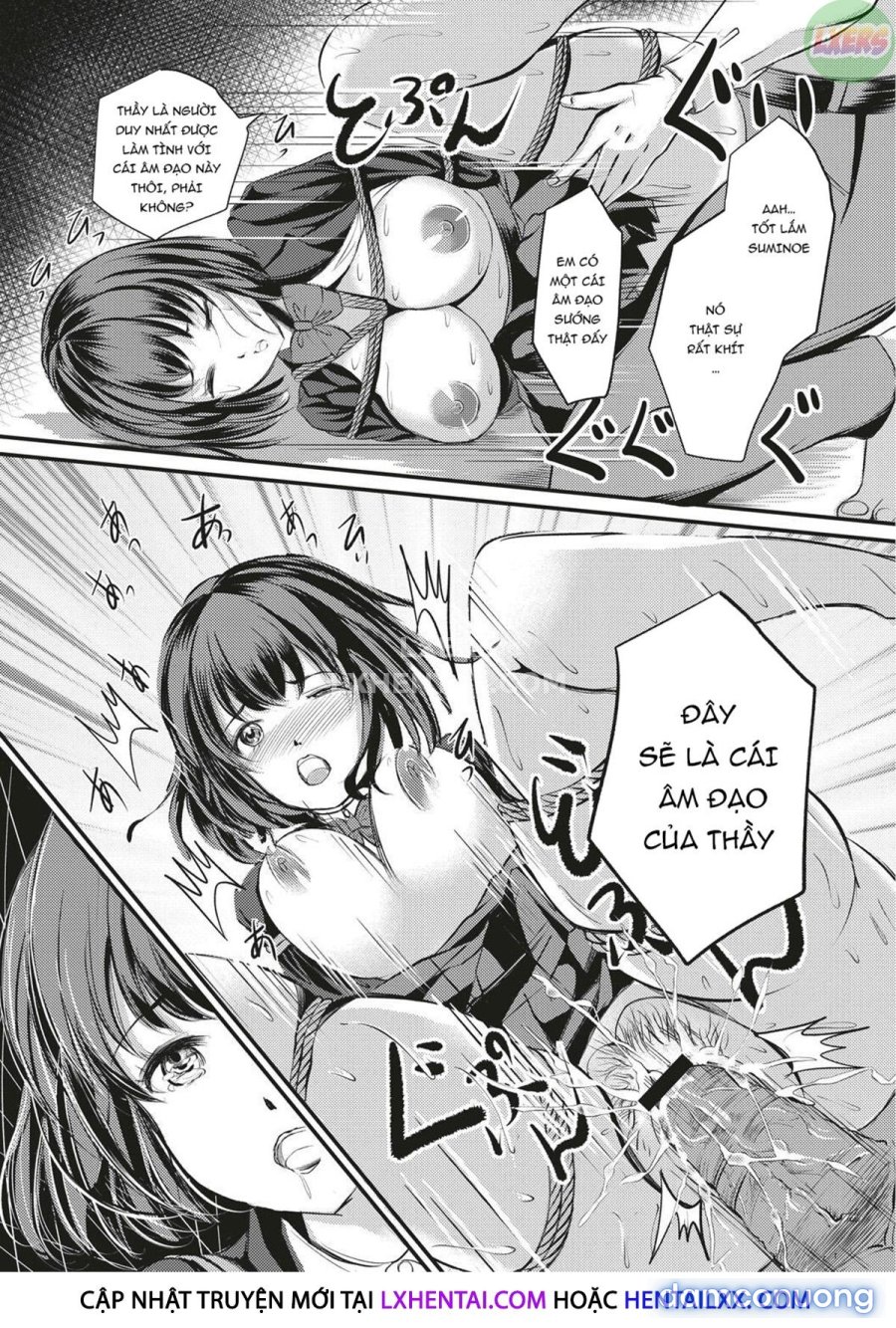 Kinbaku Seidorei Choukyou Gakuen 