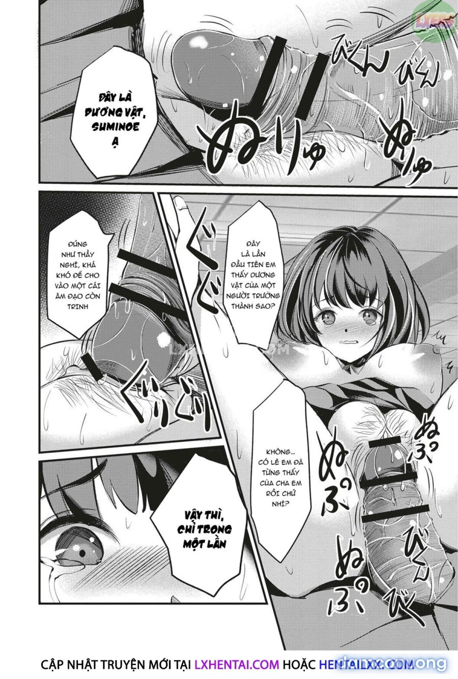 Kinbaku Seidorei Choukyou Gakuen 