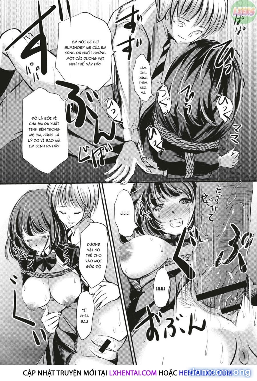 Kinbaku Seidorei Choukyou Gakuen 