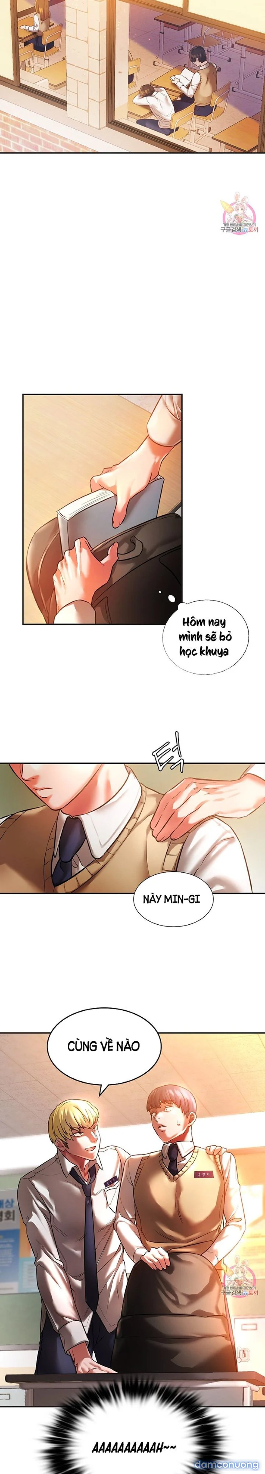 Bạn Học Của Tôi 