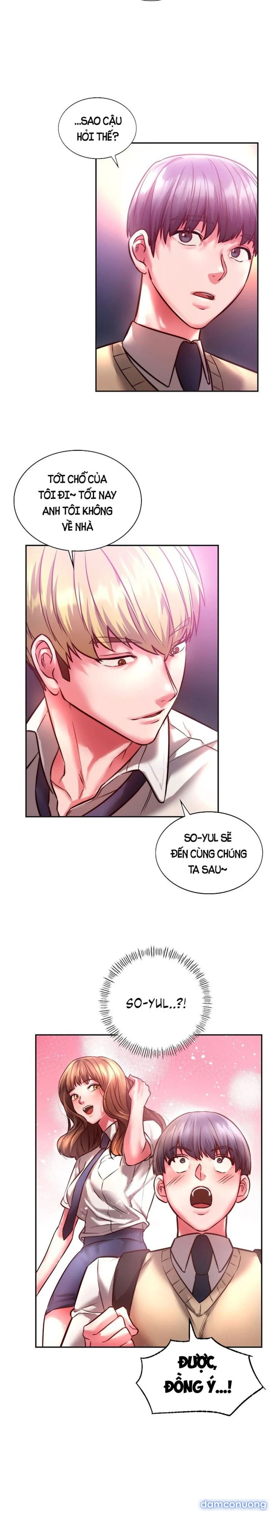 Bạn Học Của Tôi 