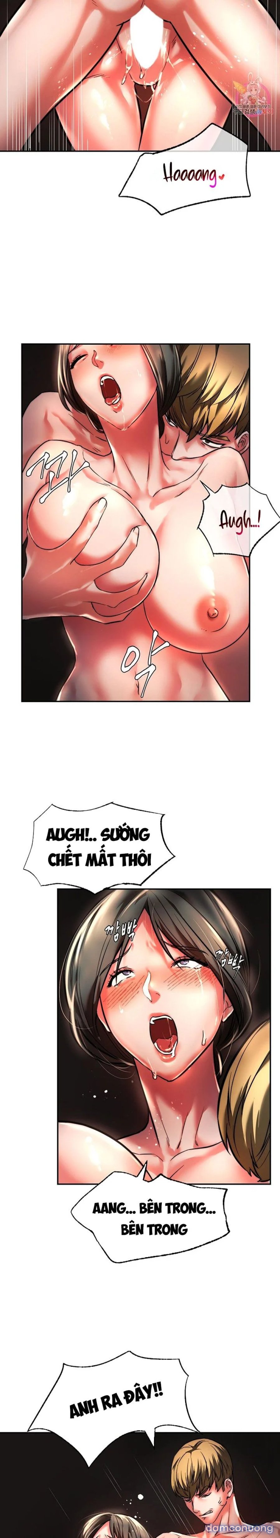 Bạn Học Của Tôi 