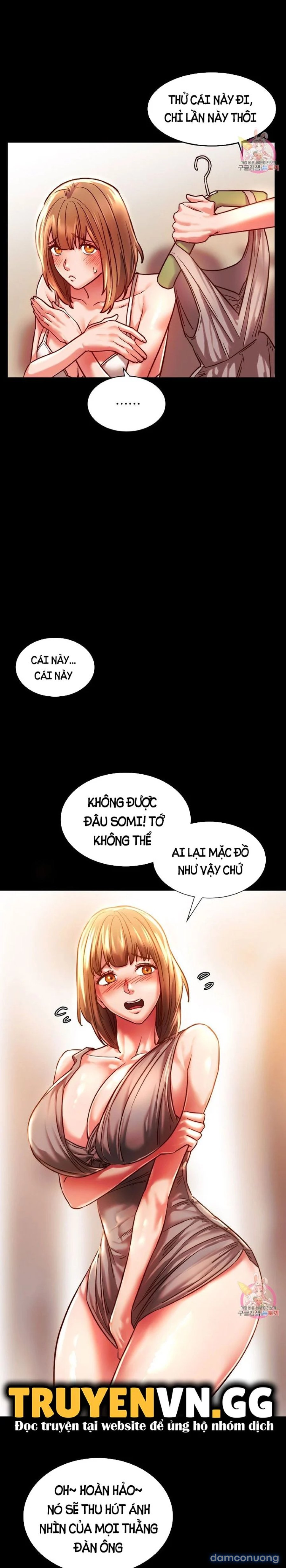 Bạn Học Của Tôi 