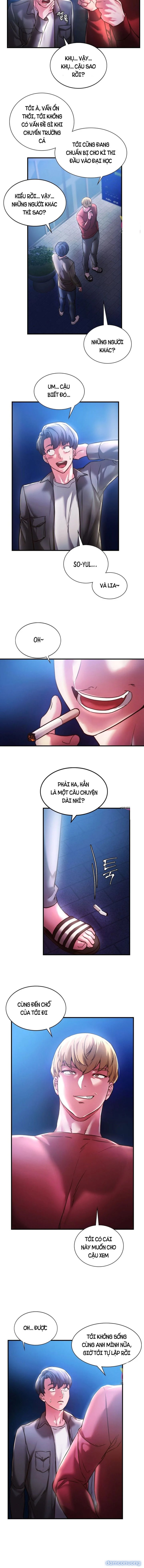 Bạn Học Của Tôi 
