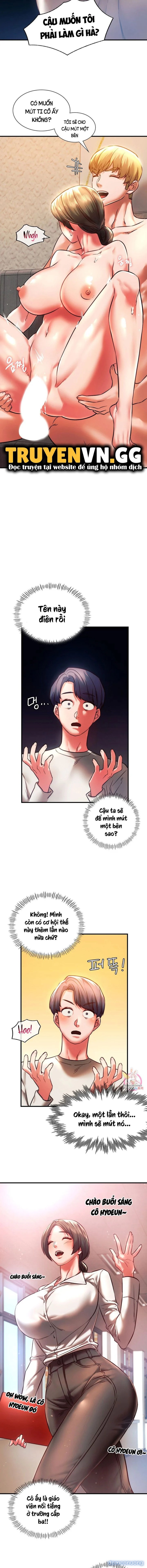 Bạn Học Của Tôi 