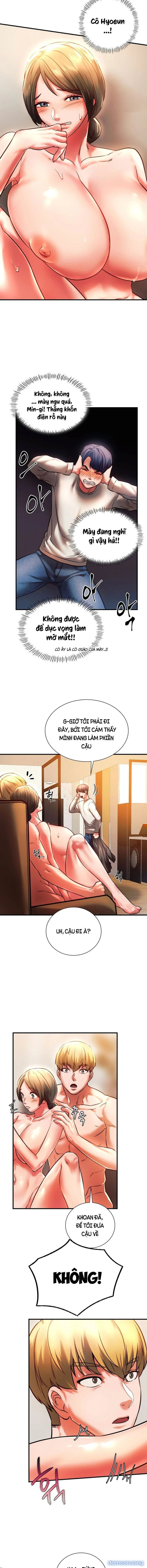 Bạn Học Của Tôi 