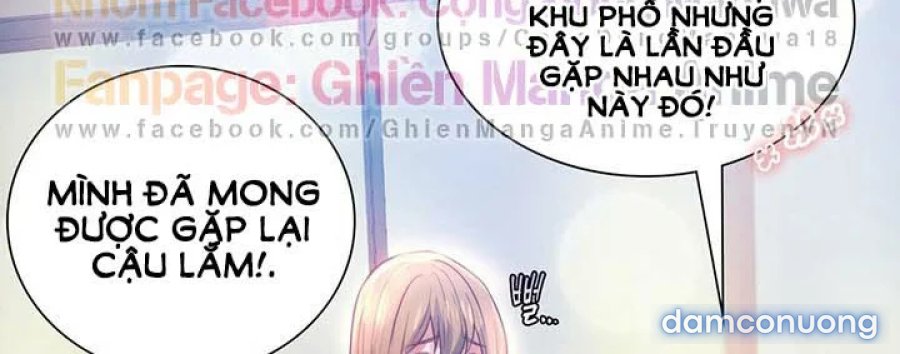 Bạn Học Của Tôi 