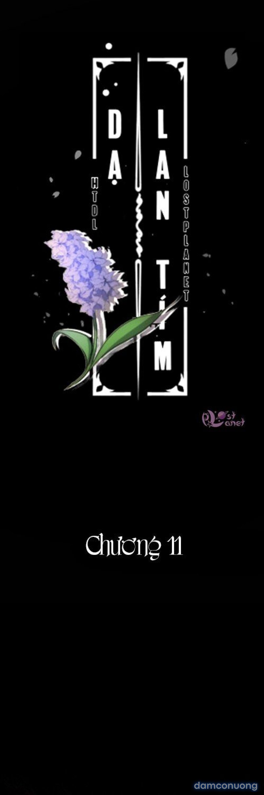 Purple Hyacinth 