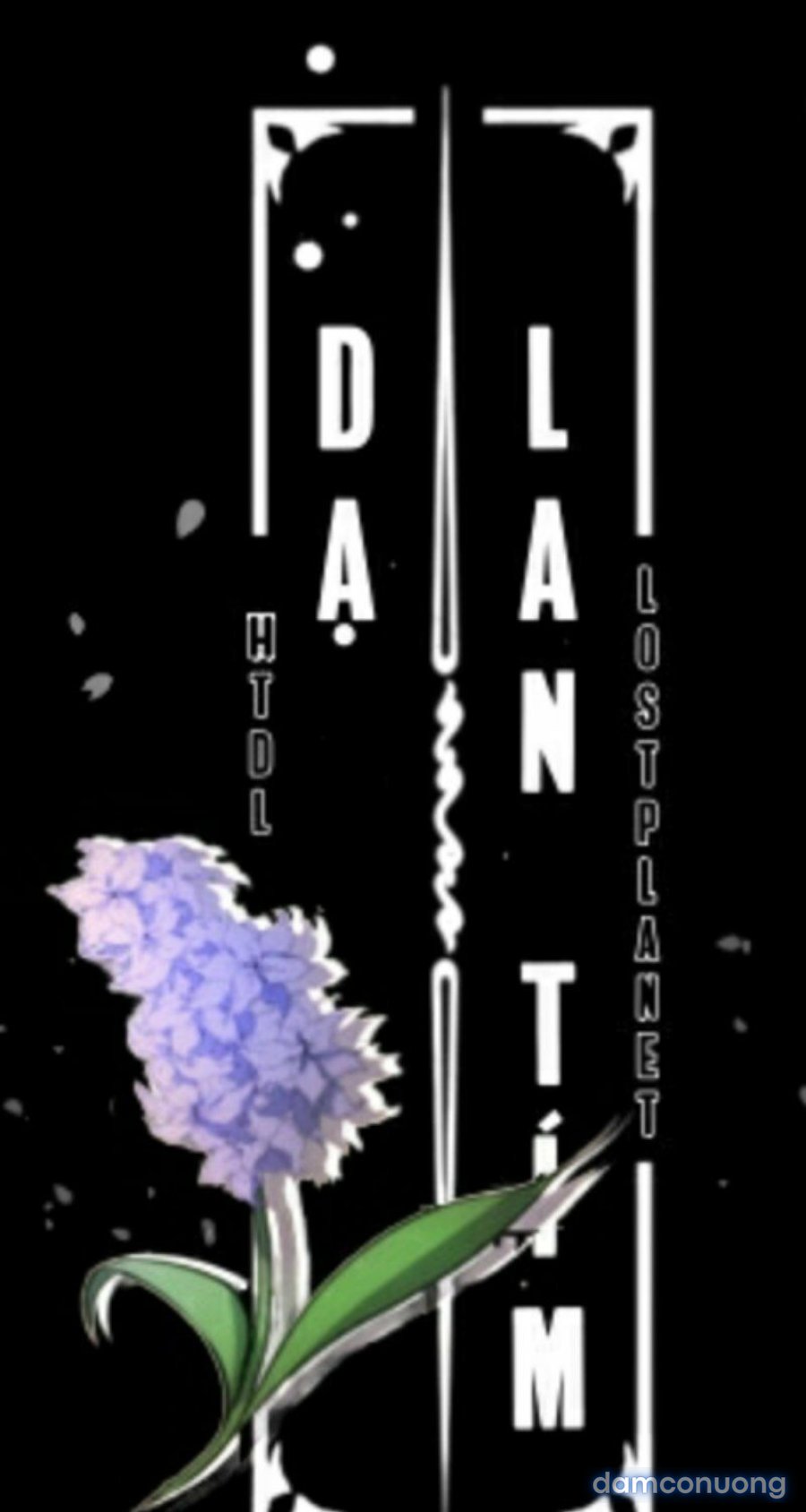 Purple Hyacinth 
