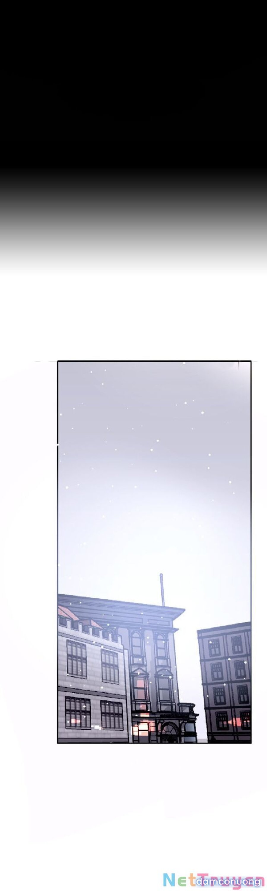 Purple Hyacinth 