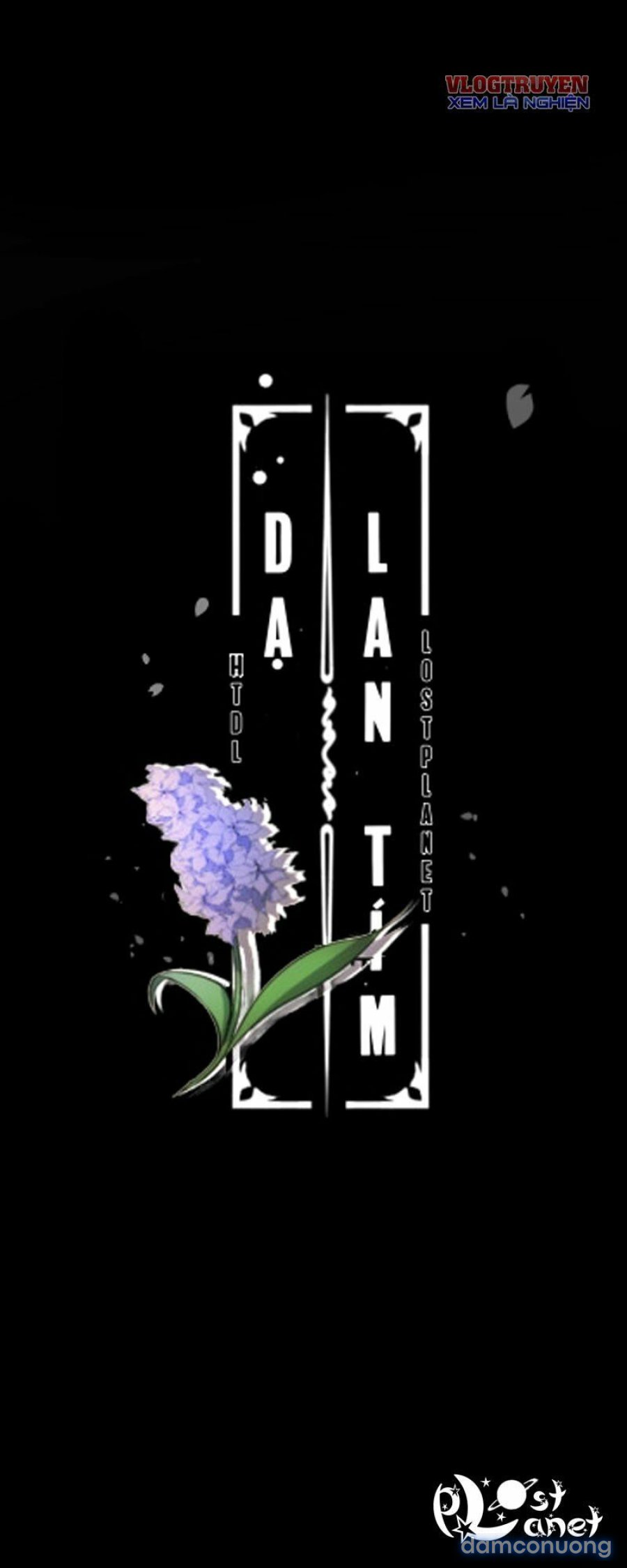 Purple Hyacinth 
