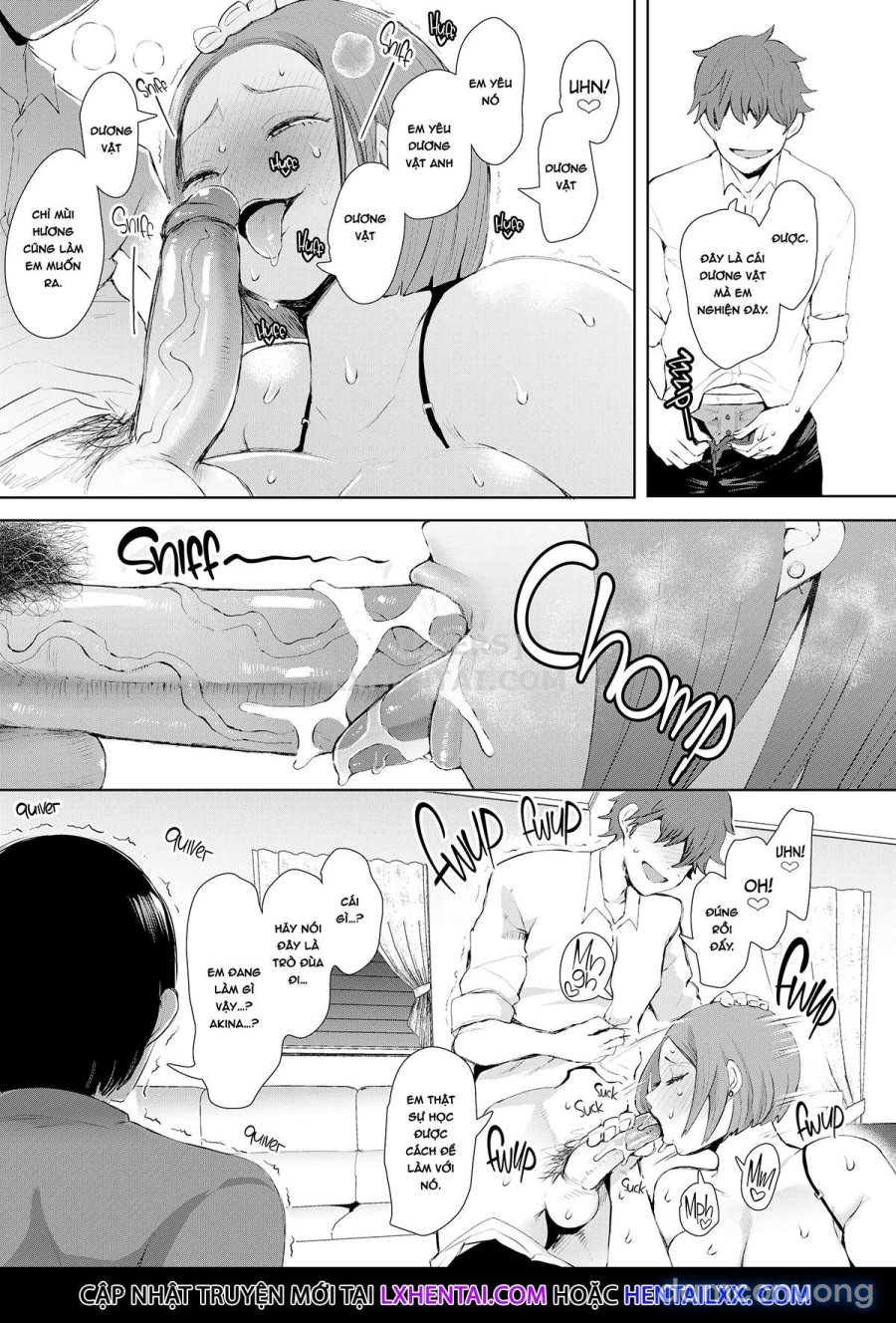 Sato's Revenge 