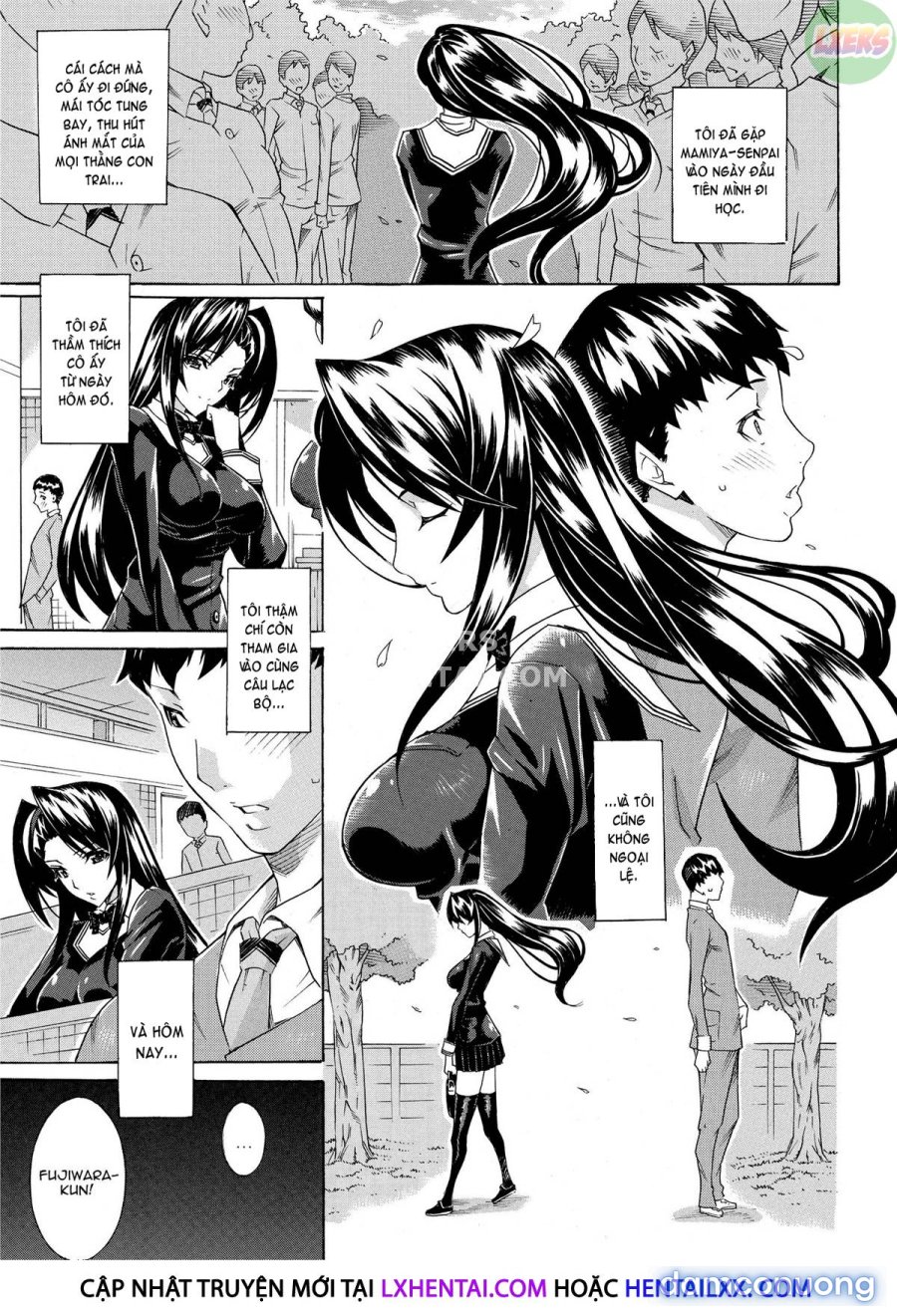 Seiin Shoujo 