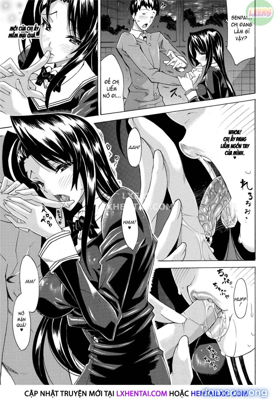 Seiin Shoujo 