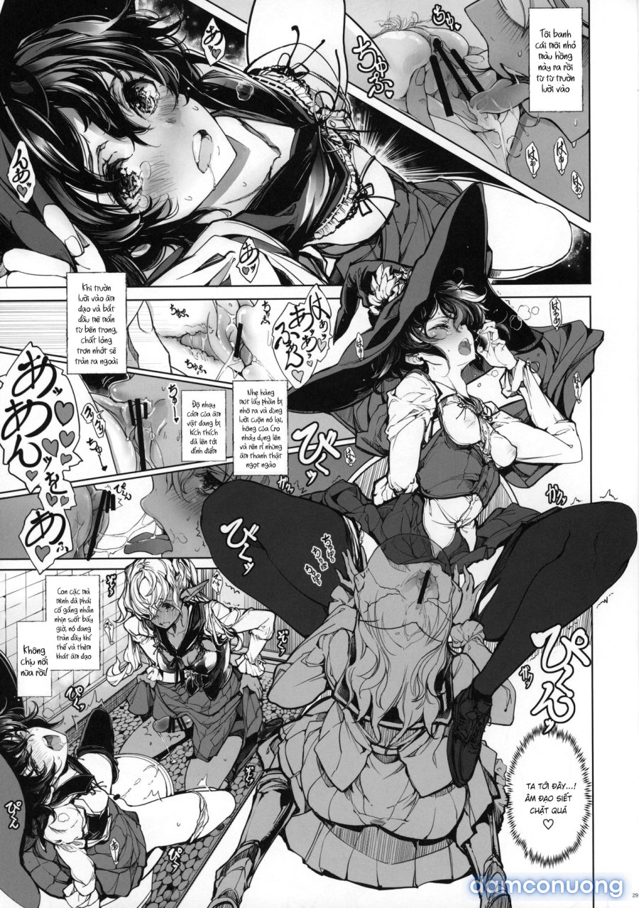 The Virgin Knights Secrets 