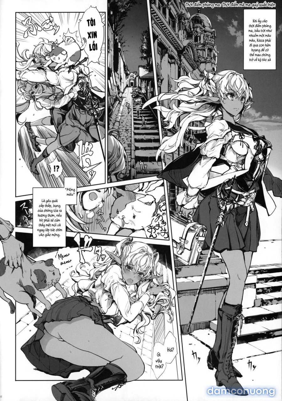 The Virgin Knights Secrets 