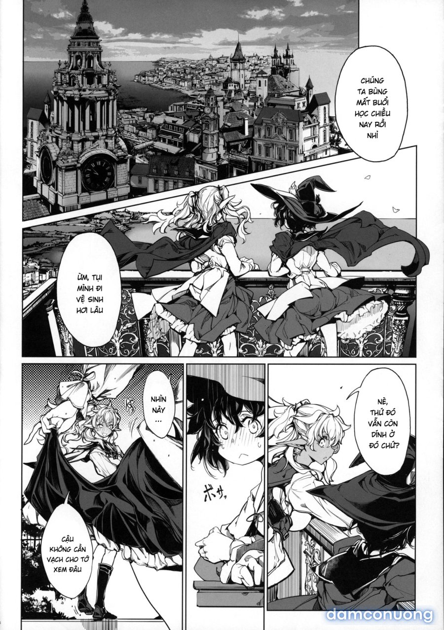 The Virgin Knights Secrets 