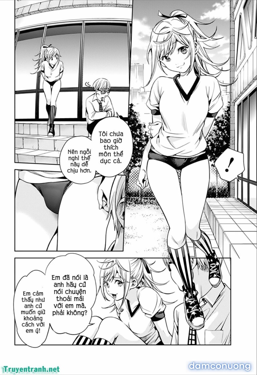 Dàn Harem Cuối Cùng 