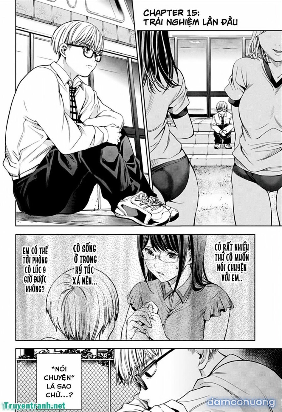 Dàn Harem Cuối Cùng 
