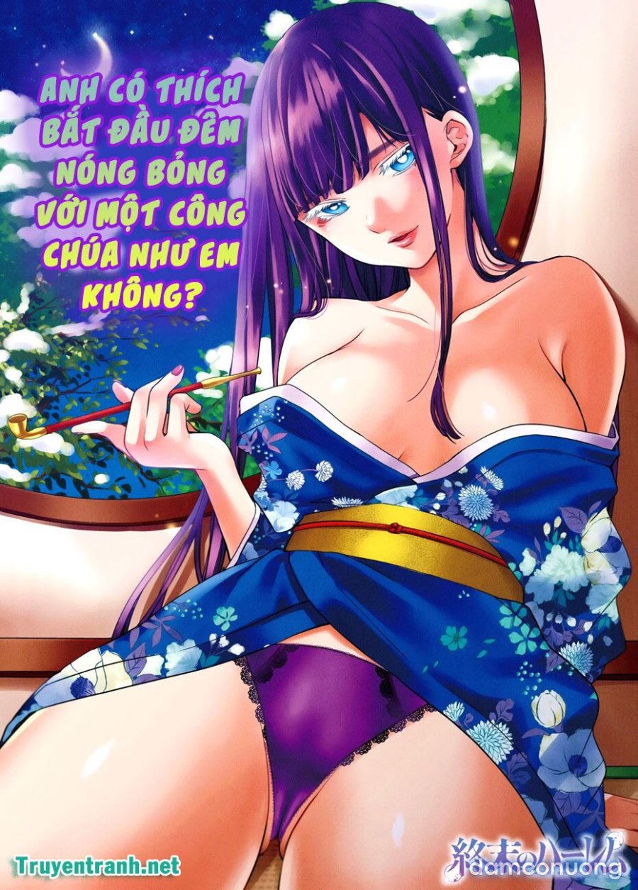Dàn Harem Cuối Cùng 