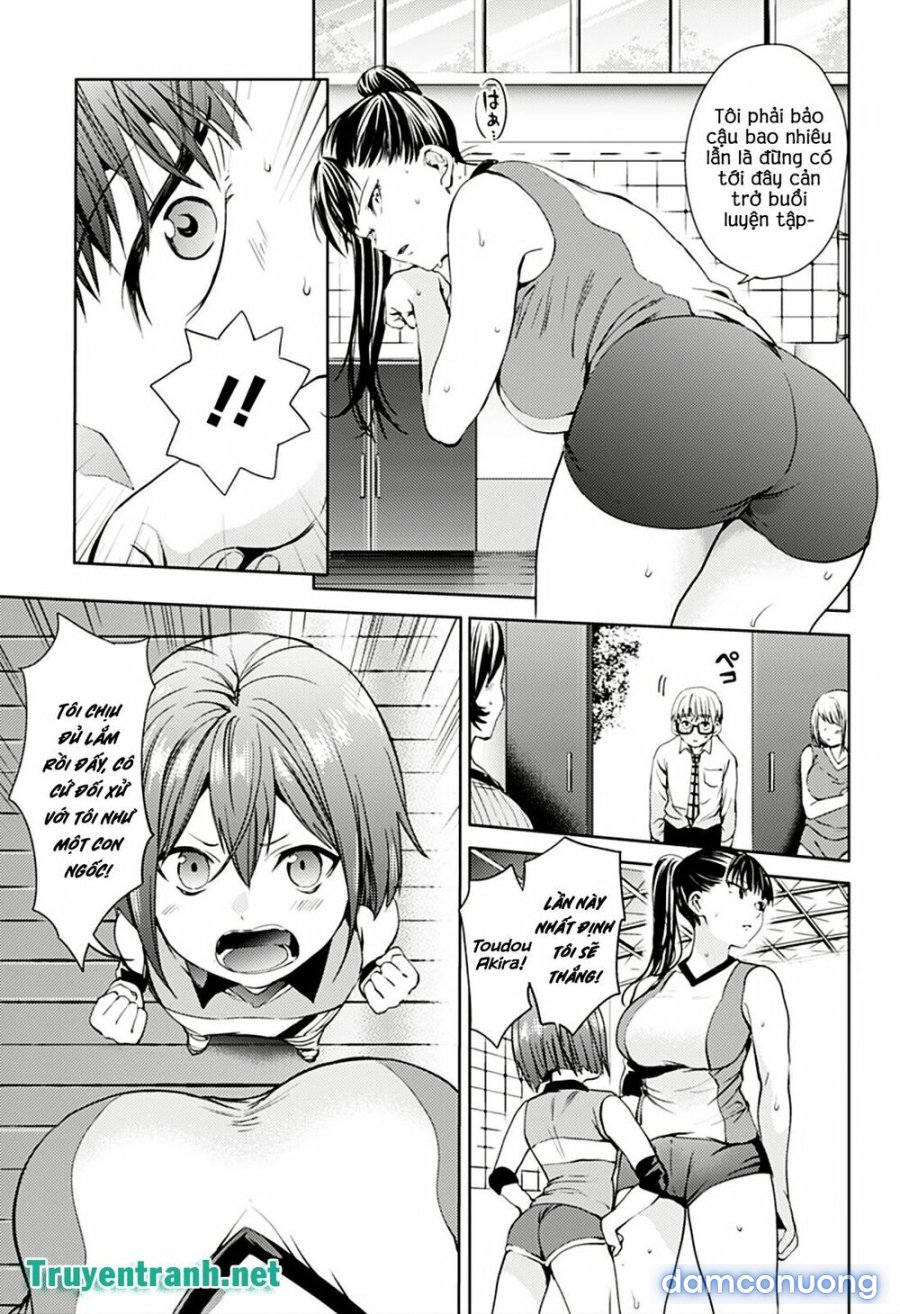 Dàn Harem Cuối Cùng 