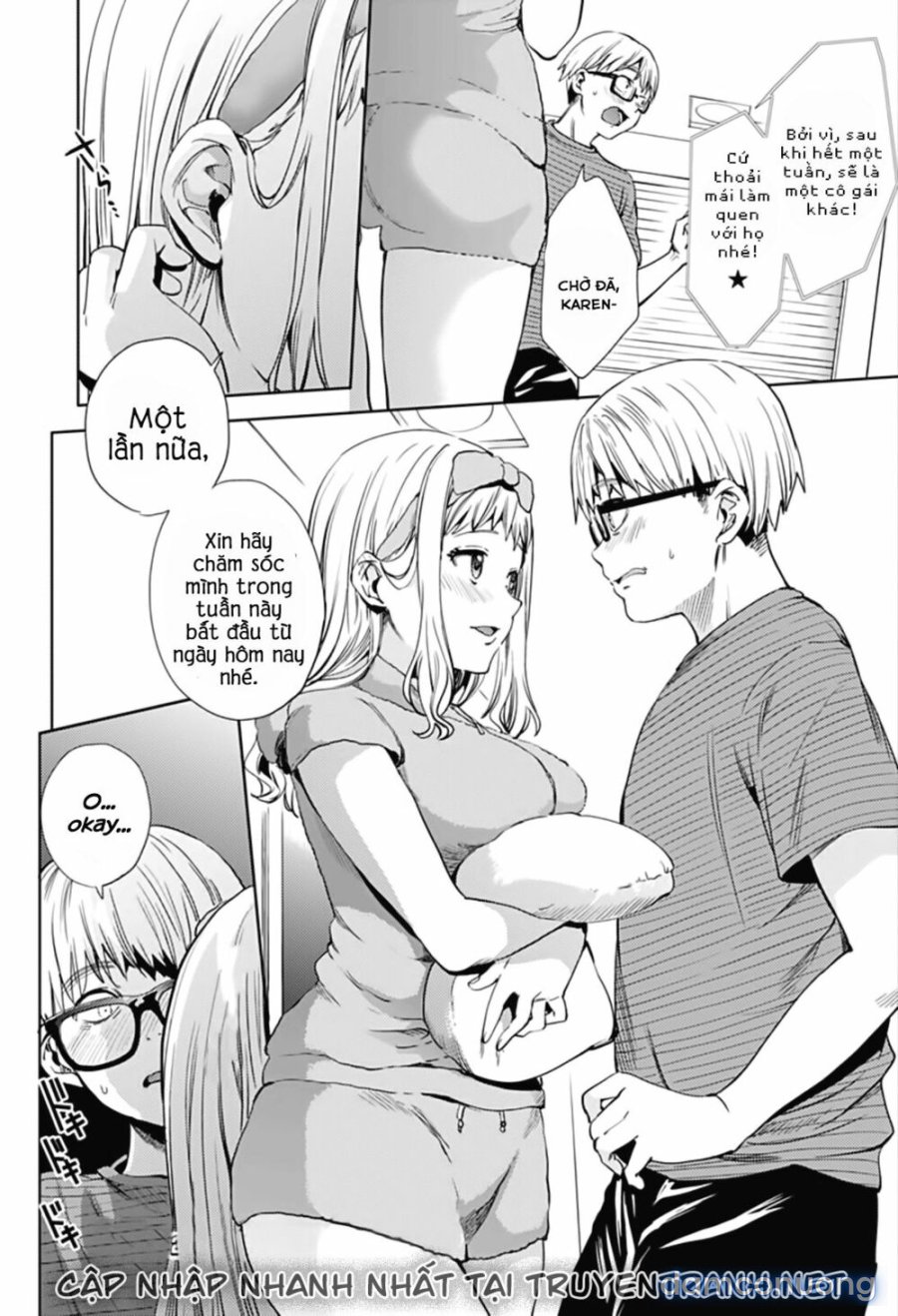 Dàn Harem Cuối Cùng 