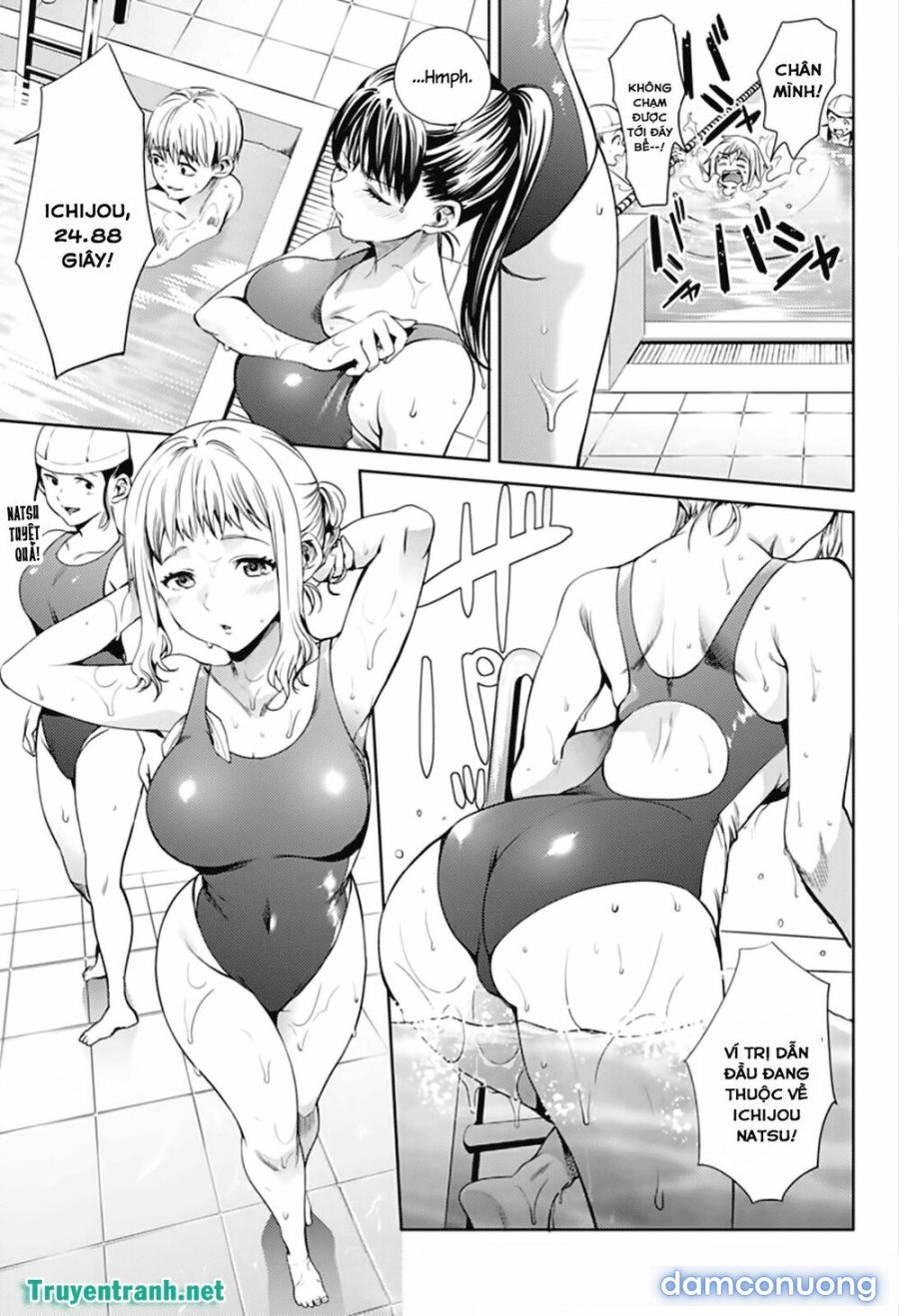 Dàn Harem Cuối Cùng 