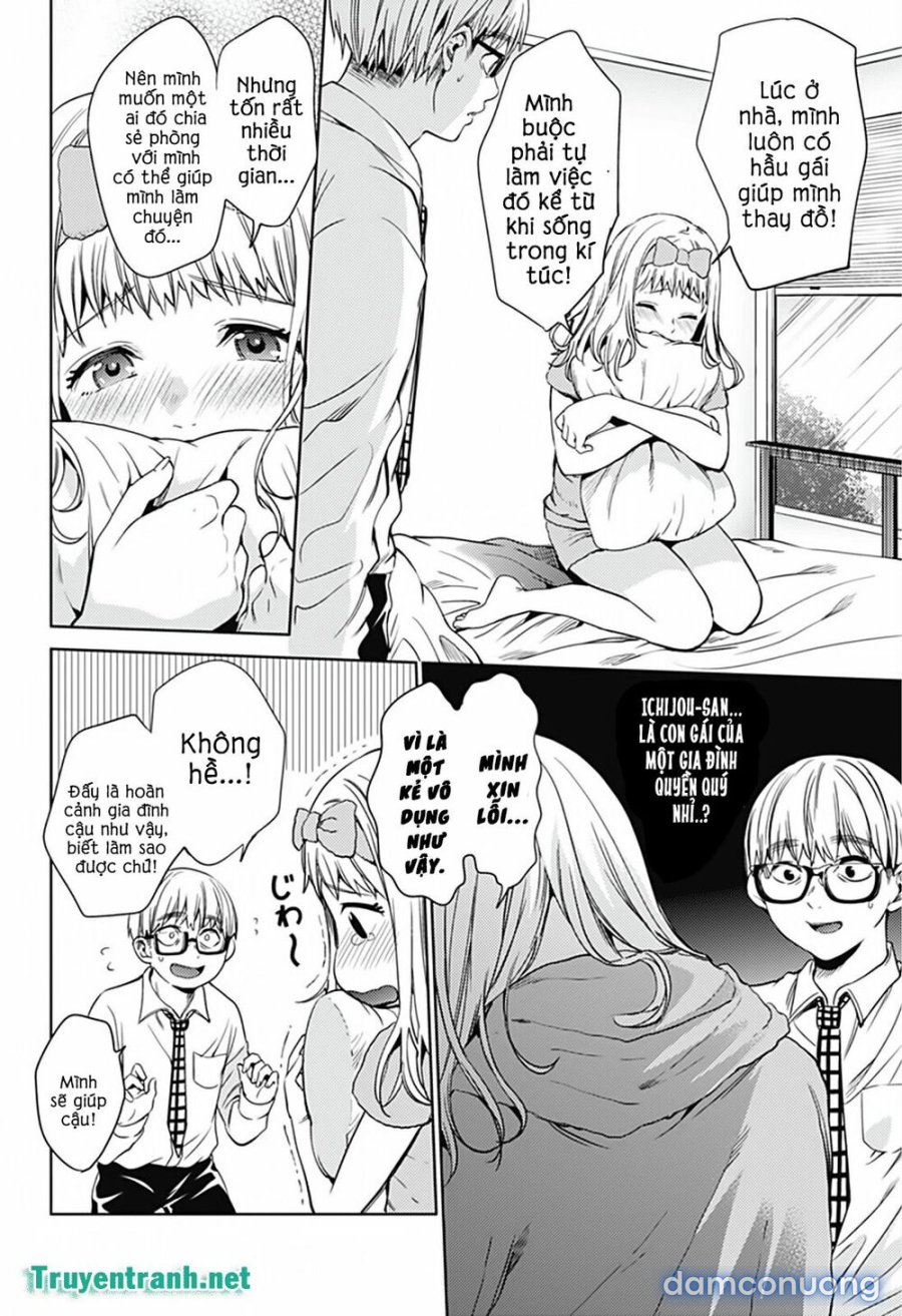 Dàn Harem Cuối Cùng 