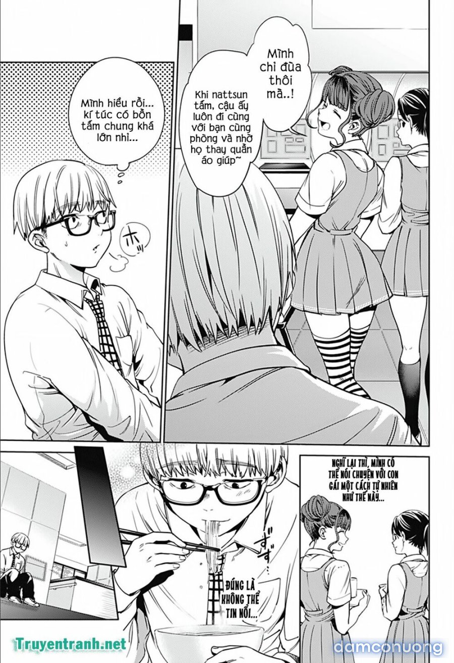 Dàn Harem Cuối Cùng 
